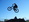 Haslam686