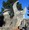 Coral Castle&nbsp;Property&nbsp;profile