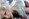 Lady GaGa   'Stefani Joanne Angelina Germanotta'&nbsp;Celebrity&nbsp;profile