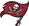 Tampa Bay Buccaneers&nbsp;Celebrity&nbsp;profile