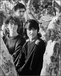 The Verlaines